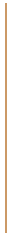 tall gold line