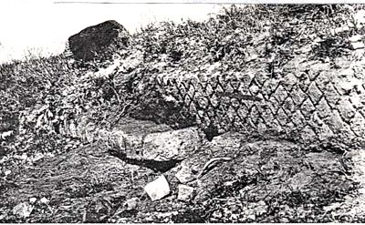 Illustration 7