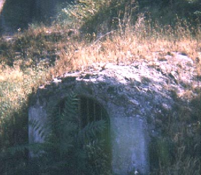 Image 3: Ramus Augusta