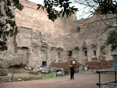Palace of Septimius Severus