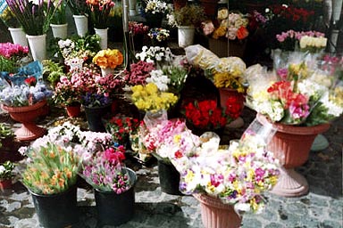 flower stand