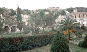Pompeian countryside today