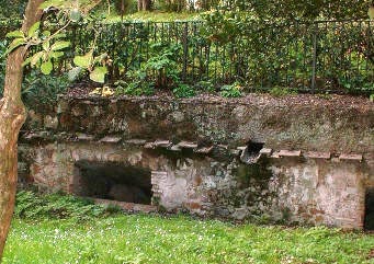 roof tiles visible below soil and hedge at Farnese