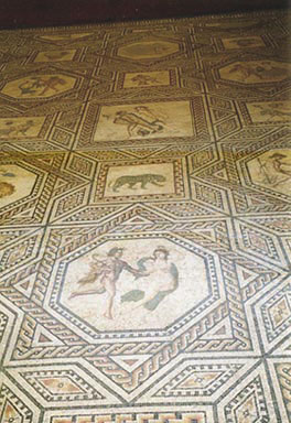 Dionysos Mosaic