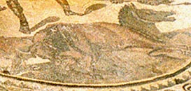 Gladiator Mosaic - center, enlarged