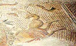 detail 1 - enlarged