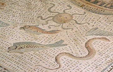 detail 3 - enlargement