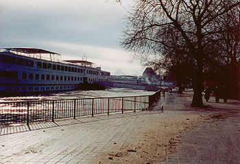 along the Rhein river