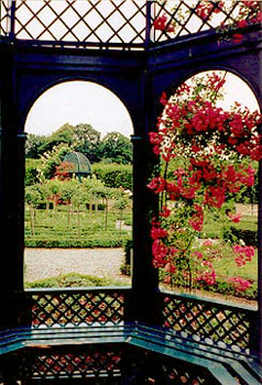 Rosegarden