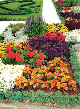 plantings in the Formal Gardens